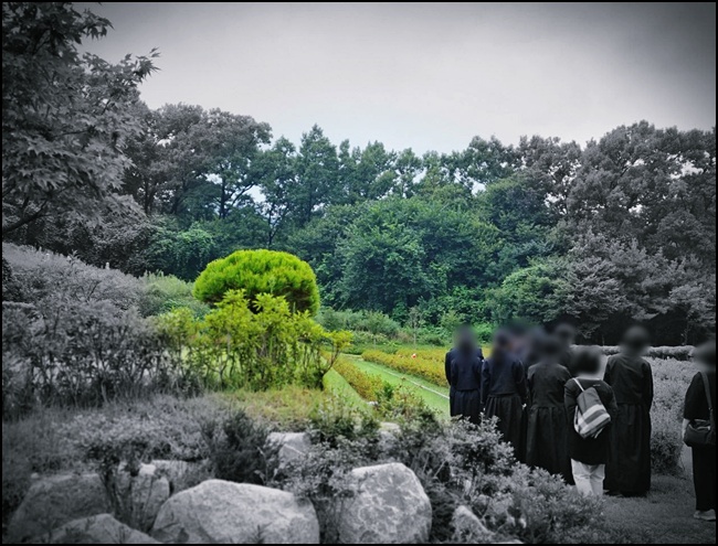 수목장