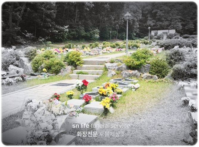 자연장_sn라이프 장례정보