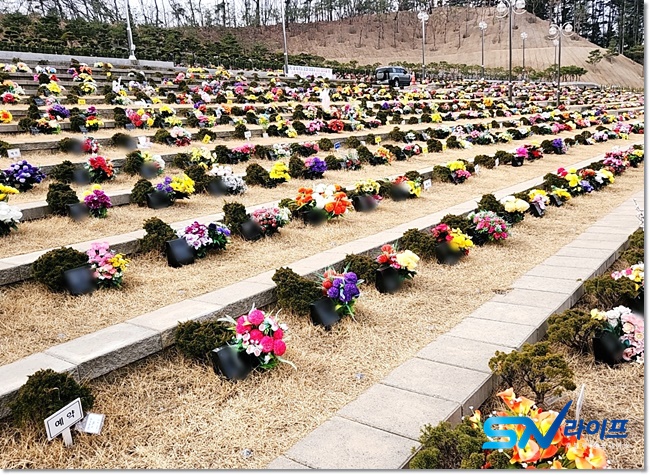 분당서울대병원장례식장비용주차