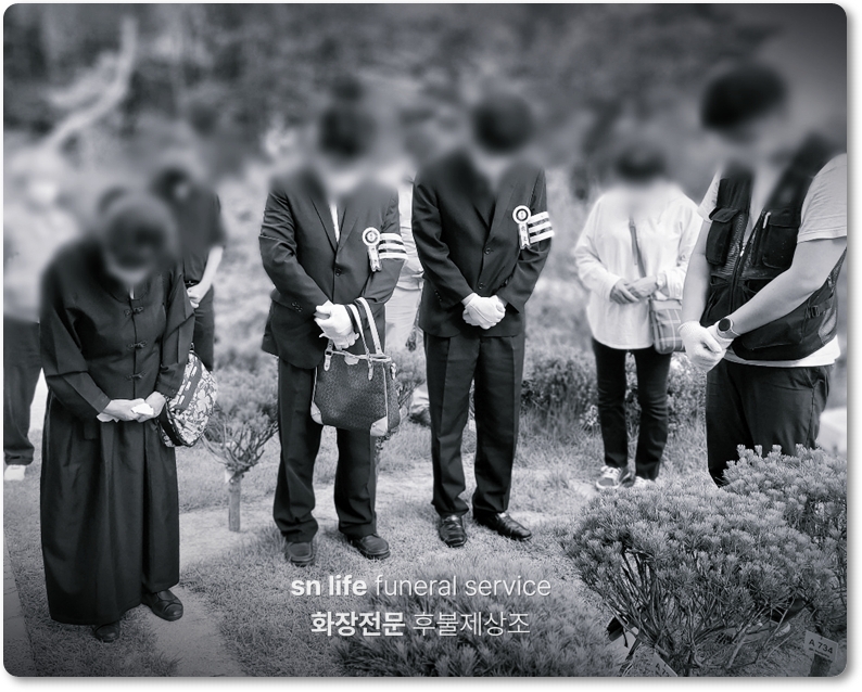 수목장이란_sn라이프 장례정보
