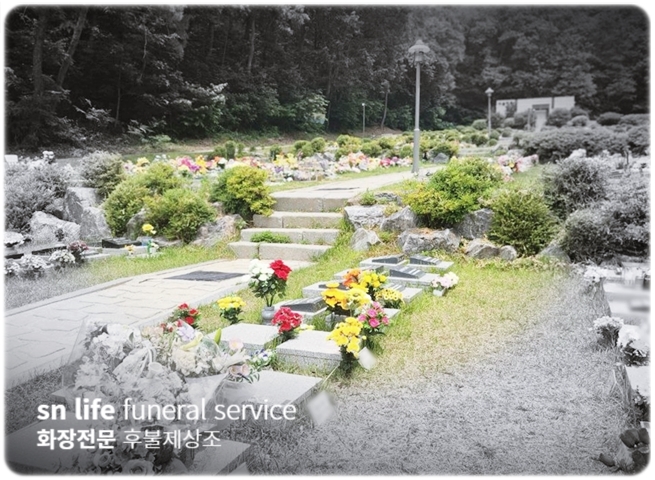 대전보훈병원장례식장 비용 수목장 안치 절차 장례준비