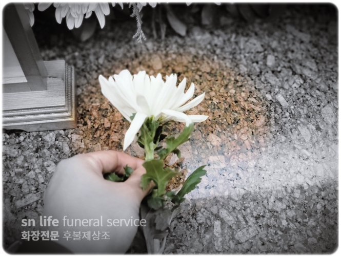 광주국빈장례문화원 비용 안내 후불제상조회사 진행 절차