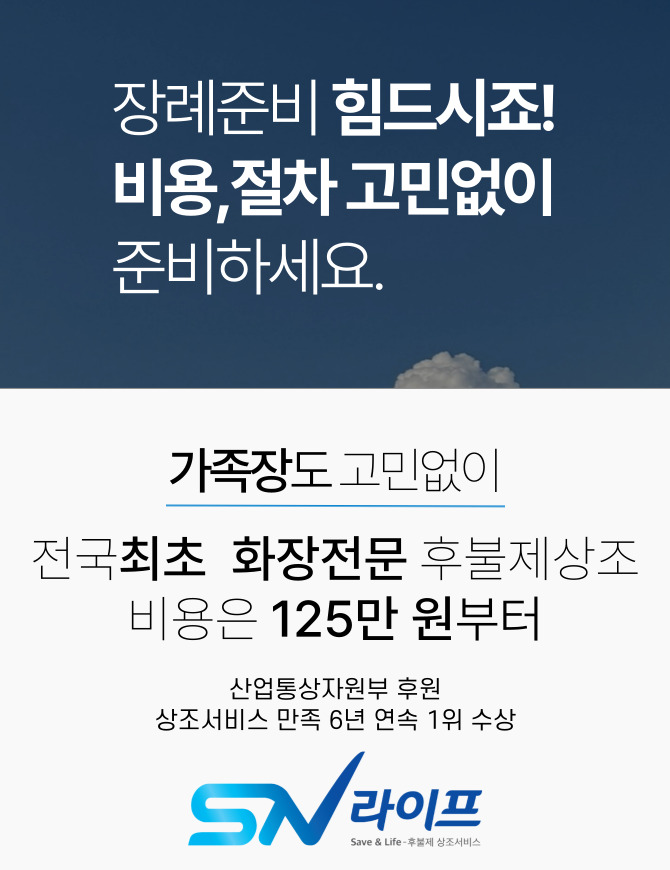 SN125, SN179 sn라이프 비용