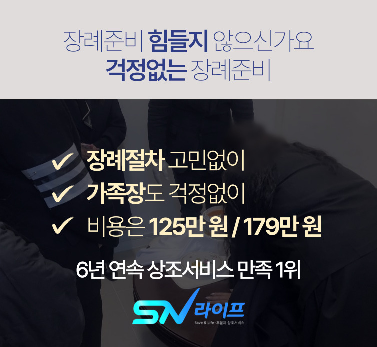 SN125, SN179 sn라이프 비용