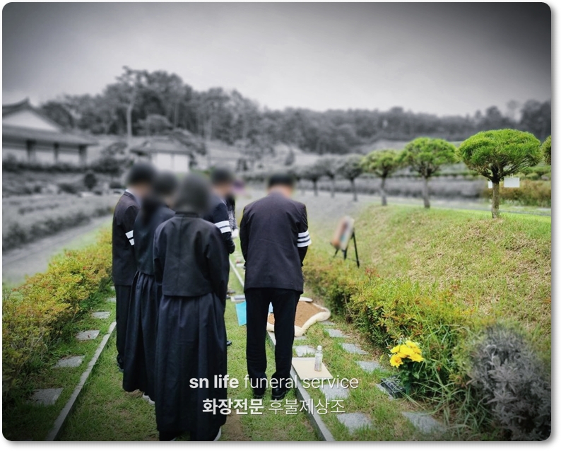 수목장이란_sn라이프 장례정보