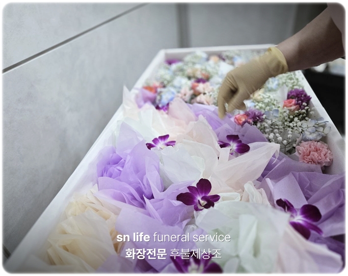 대구전문장례식장_sn라이프 장례정보