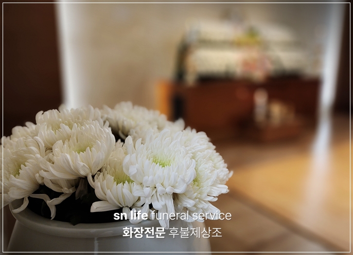송원장례문화원_sn라이프 장례정보