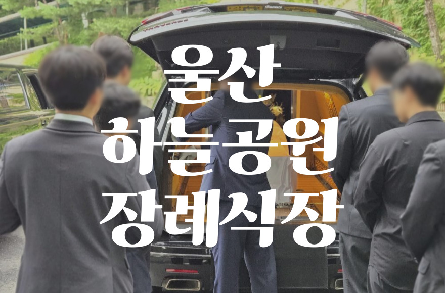 울산하늘공원장례식장 비용 음식 주차 한눈에 비교하기