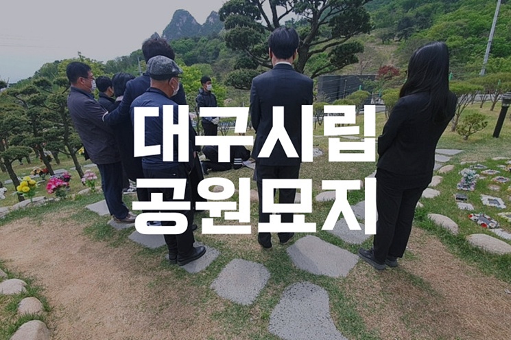 공설묘지와 대구시립공원묘지 차이점 및 이용 팁