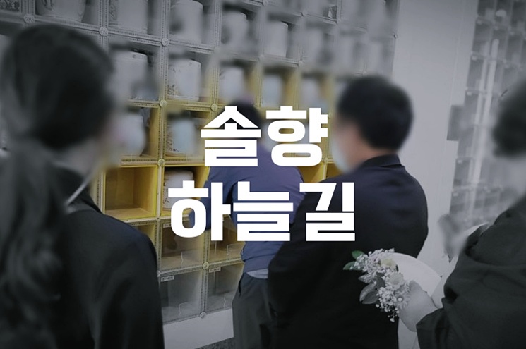 솔향하늘길 화장장 예약부터 비용까지 완벽 가이드