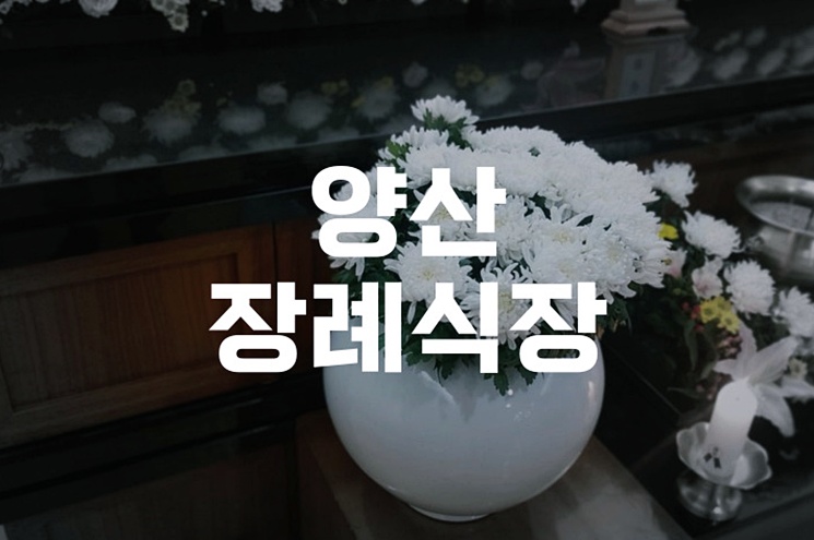 양산장례식장 비용 음식 주차 완벽 가이드! 합리적 준비법