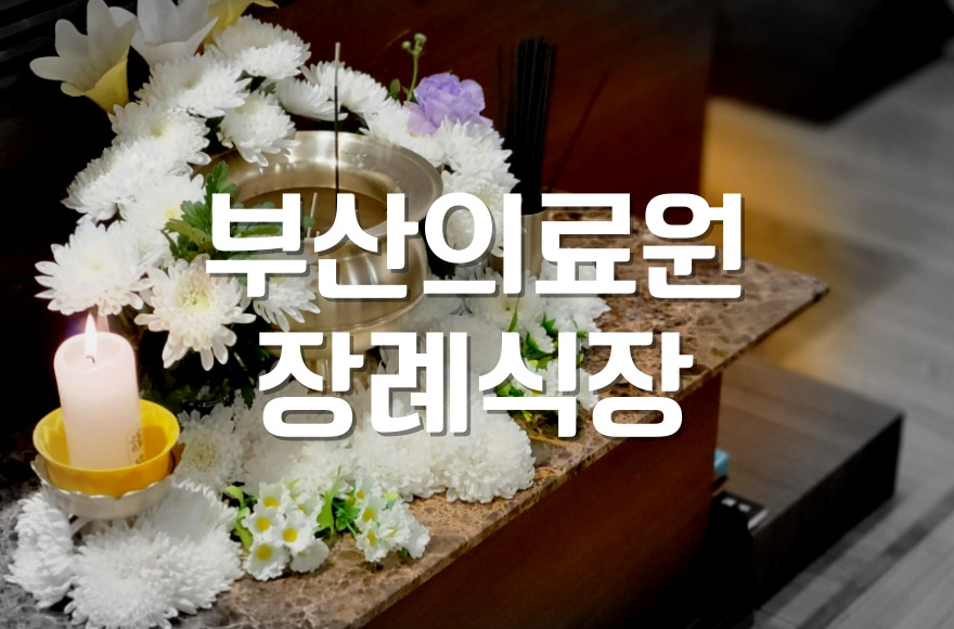 부산의료원장례식장 3일장 마지막 날, 꼭 알아야 할 모든 것