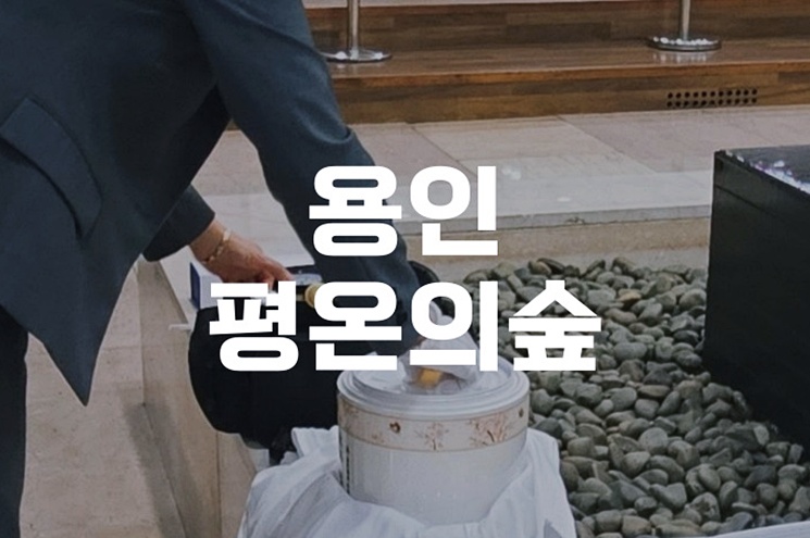 용인평온의숲 많이 찾는 이유