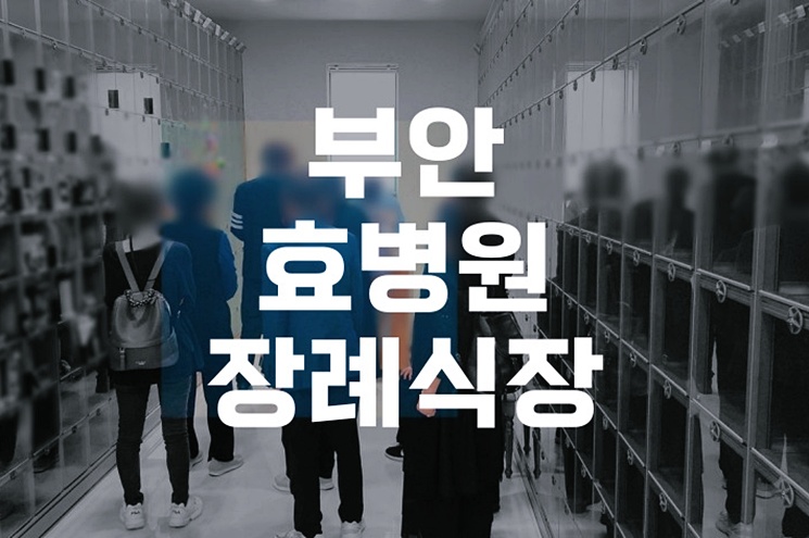 부안효병원장례식장 따뜻한 작별과 빈소 준비 가이드