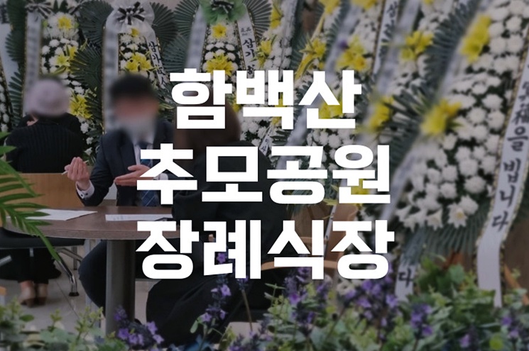 함백산추모공원장례식장에서의 가족 맞춤 장례, 절차부터 후기까지