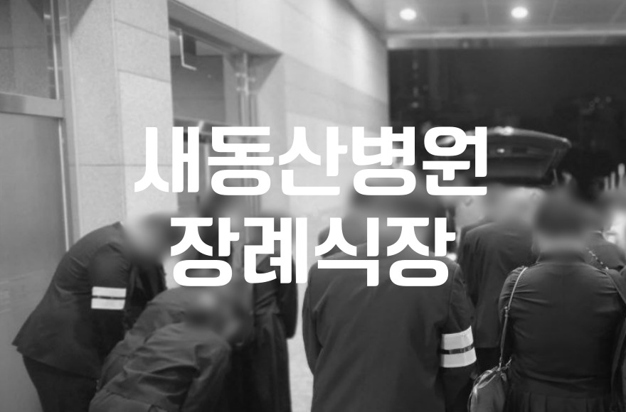 새동산병원장례식장 이용 시 대구·경북 자연장지 선택 가이드