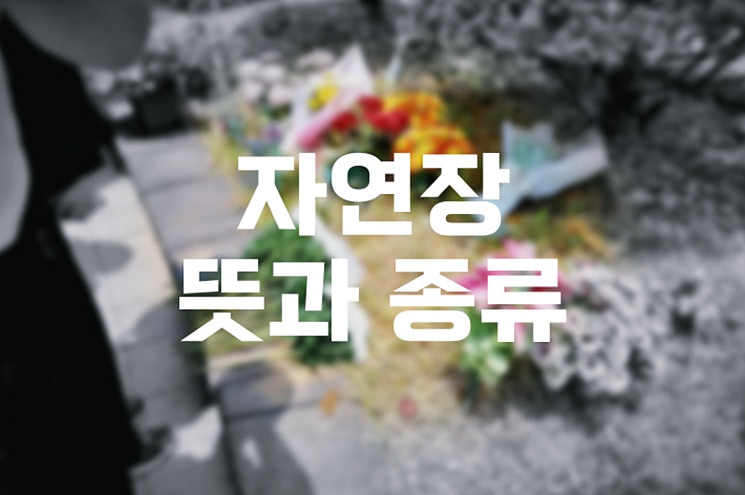 자연장  뜻과 종류 고민하는 가족을 위한 유형별 비교와 선호 이유