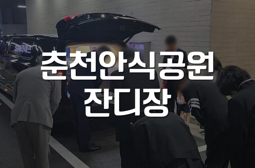 춘천 안식공원 잔디장 이용 전 반드시 알아야 할 5가지 정보