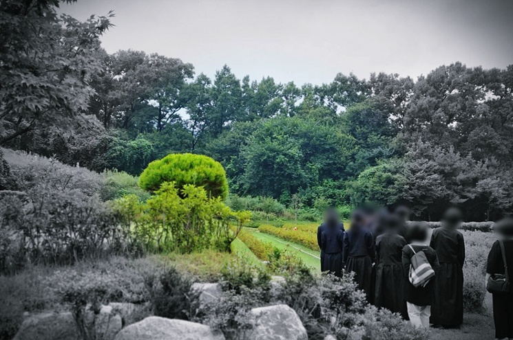 합법적인 자연장 준비 방법, 지역별 비교와 체크포인트