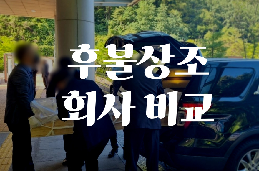후불상조회사 비교! 선불제와 차이점, 장단점 완벽정리