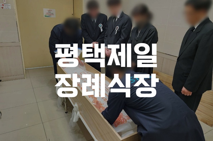 평택제일장례식장 진행 후 수목장 안치 어디서 어떻게