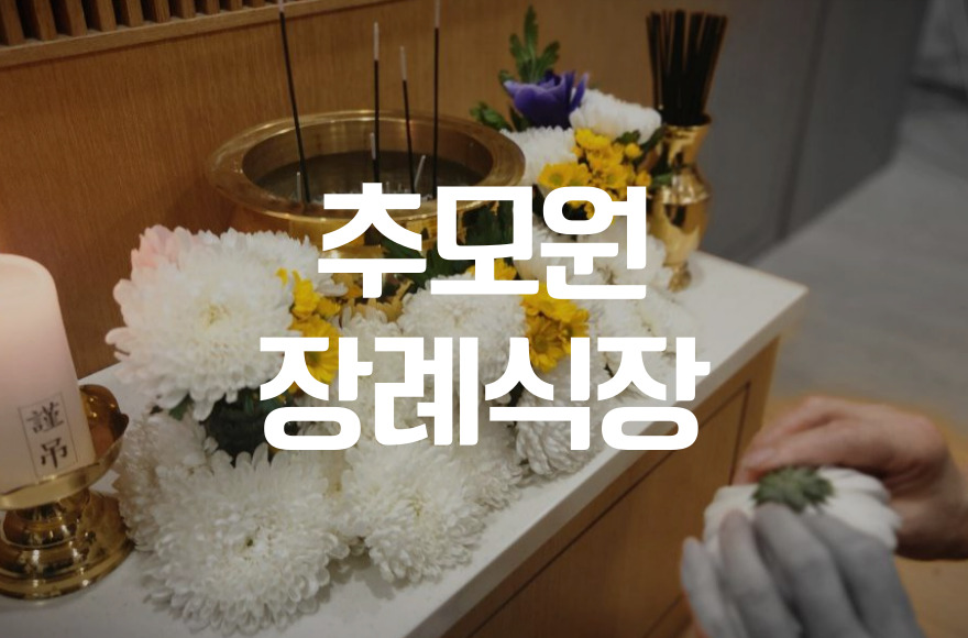 추모원장례식장 비용, 음식, 주차 고민 끝! 실제 후기와 꿀팁 공개