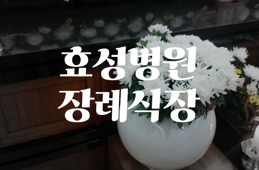 효성병원장례식장 비용 음식 주차 비교로 예산 절약하는 방법