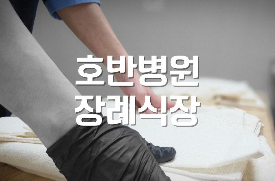 호반병원장례식장 실제 이용후기와 장점 총정리