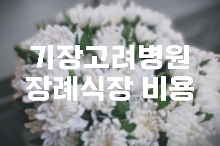 기장고려병원장례식장 비용 음식 주차, 준비 절차와 꿀팁 공개