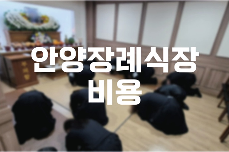 2025년 안양장례식장 비용, 합리적으로 준비하는 7가지 실전 노하우