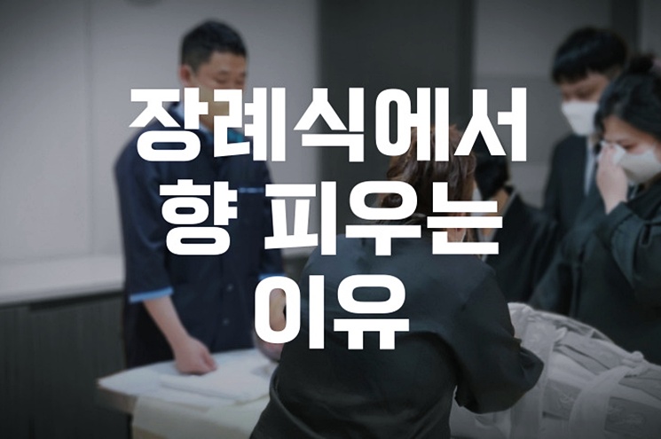 장례식에서 향 피우는 이유와 올바른 분향 예절 완벽 가이드