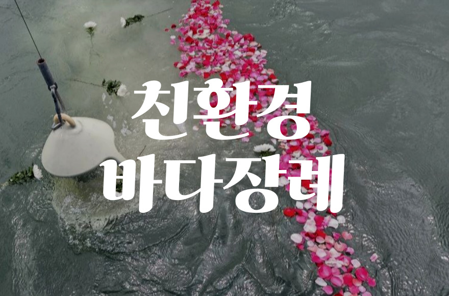 해양장 비용부터 절차까지, 친환경 바다 장례 완벽 가이드