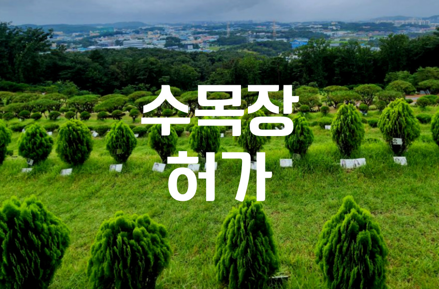 수목장 허가 절차 가이드 개인과 가족부터 법인까지