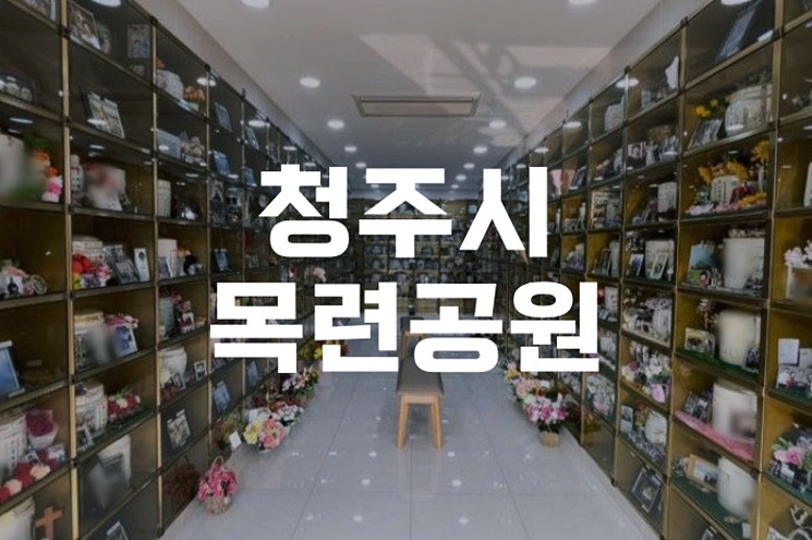 청주시목련공원 이용법과 비용, 방문 전 꼭 알아야 할 체크리스트