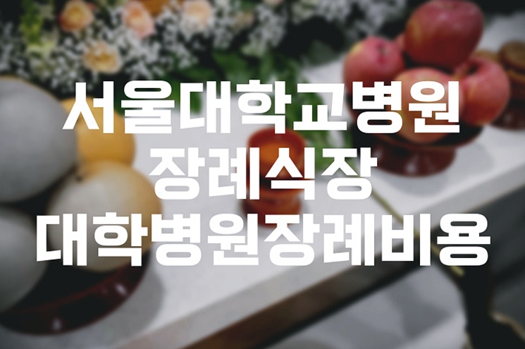 서울대학교병원장례식장 대학병원 장례비용 꼼꼼히 따져보기