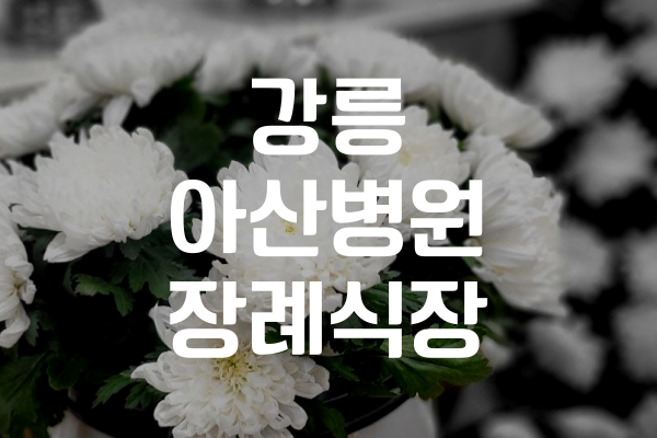 강릉아산병원장례식장 분향실 비용, 위치, 주차 실제 이용 후기