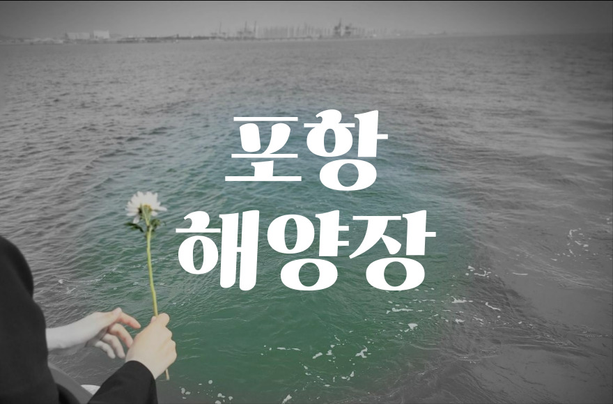 포항해양장 절차와 비용 완벽 정리! 바다장례 궁금증 해결