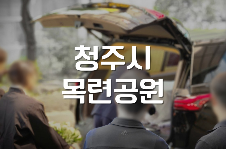 청주시목련공원 운영시간 완벽 가이드