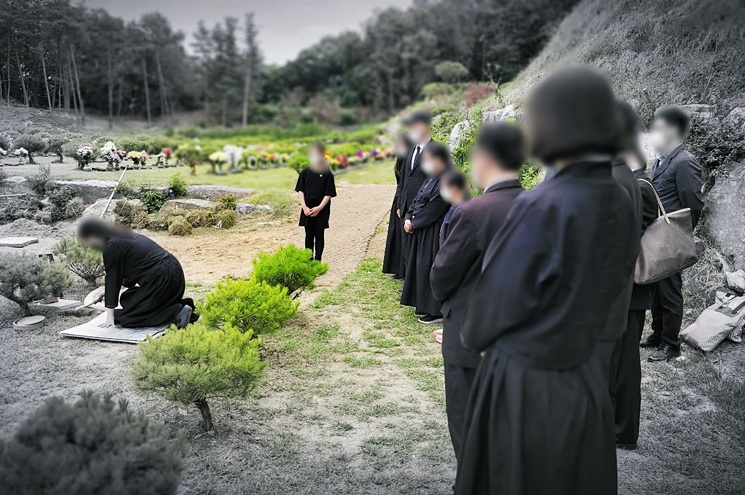 수목장 절차 및 추모목 종류와 관리 방법 가이드