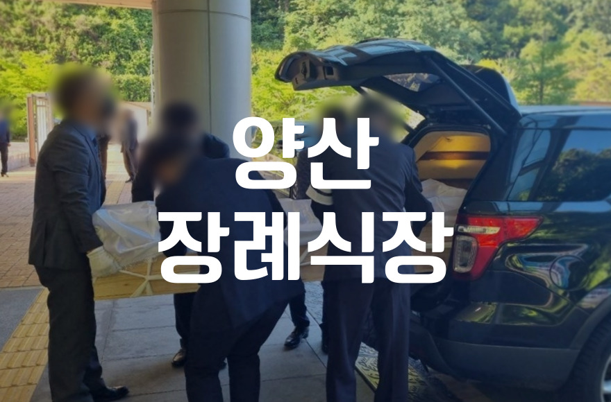 양산장례식장 비용 음식 주차 한눈에 비교! 현명한 선택법
