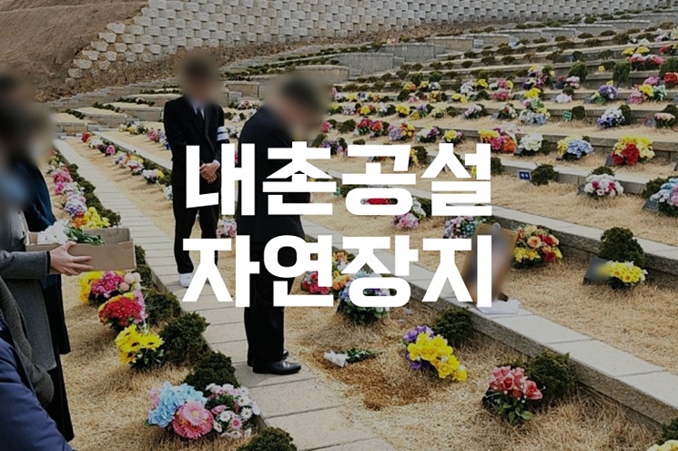 경기도 포천 내촌공설자연장지, 아름다운 자연장지의 모든 것