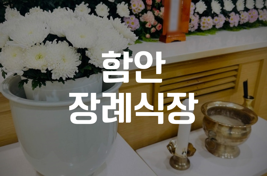 함안장례식장 비용 음식 주차 완벽정리! 실속 꿀팁 공개