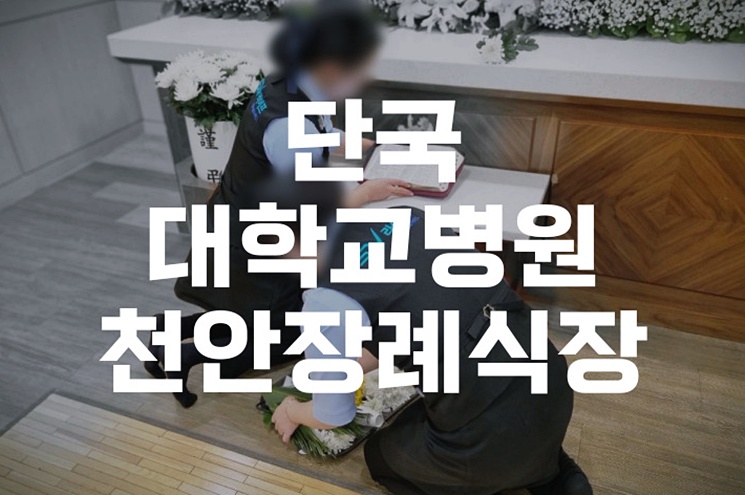 단국대학교병원 천안장례식장부터 수목장 안치까지 실전 준비와 절차
