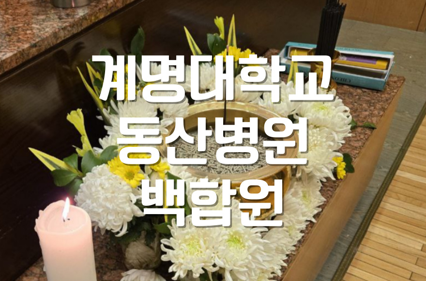 계명대학교동산병원백합원 장례식 조문 순서부터 인사말까지