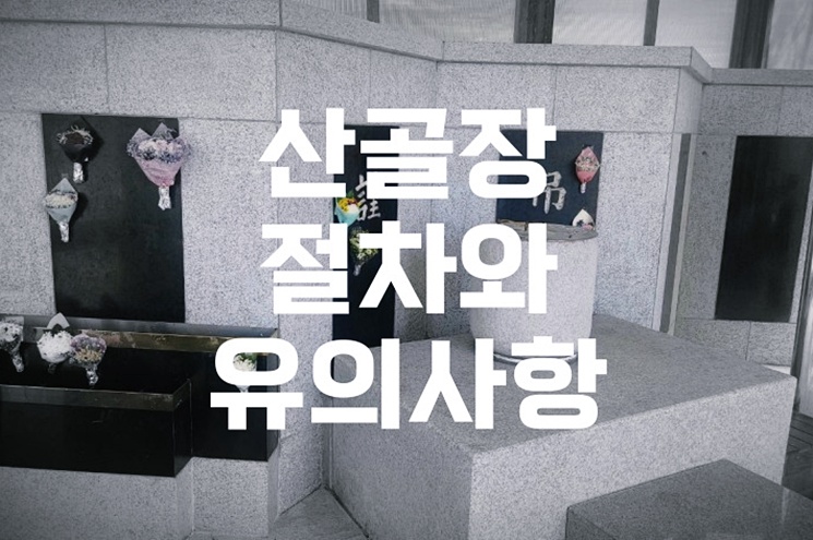 산골장 절차와 유의사항 자연으로 돌아가는 장례 방식의 모든 것