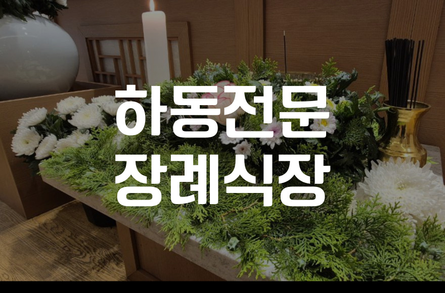 하동전문장례식장 주차와 음식, 빈소별 예상 비용까지 꼼꼼 분석