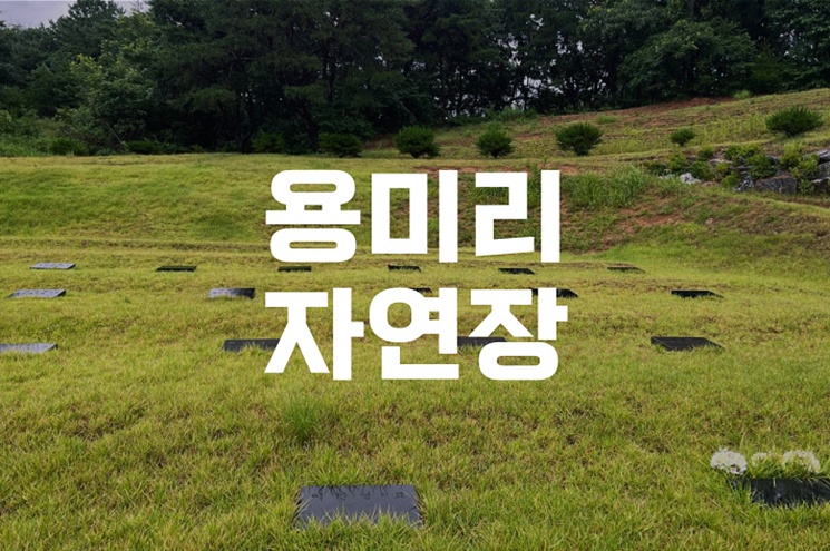 용미리 자연장 실제 이용 후기와 준비 체크리스트