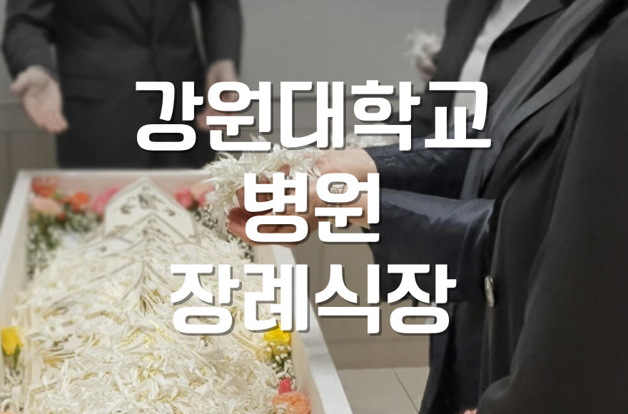 강원대학교병원 장례비용 절감 노하우와 실제 사례