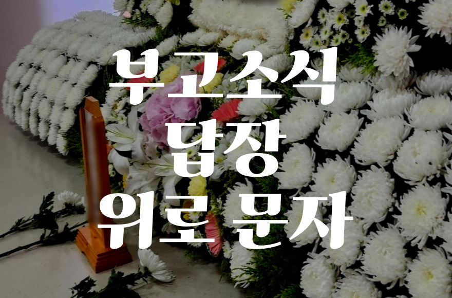 부고소식 답장 이렇게 쓰세요! 진심이 전해지는 위로 문자 작성법