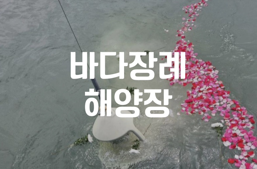 2026년 바다장례(해양장) 비용 가이드와 지역별 차이